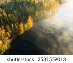 Nature of Estonia, birch forest and lake on a foggy sunny autumn morning.