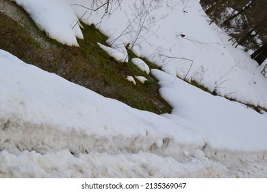 Nature Forest Bird Cat Tree Cat Dog Pine Orchid Leaf Gazelle Winter Snow Cactus Bonsai Tree Water Stone Rock
