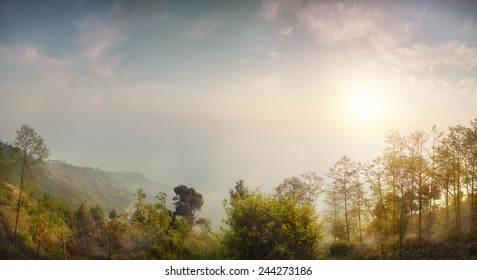 Nature forest landscape at sunrise in Nagarkot, Nepal