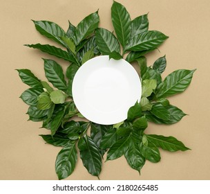 nature fresh green leaves satin texture leaf tree foliage frame around and white circle shape in center copy space on beige background.for natural health care organic, beauty skin product design.
