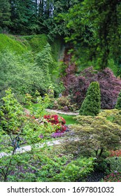 Nature in Full Summer Bloom - Shutterstock ID 1697801032