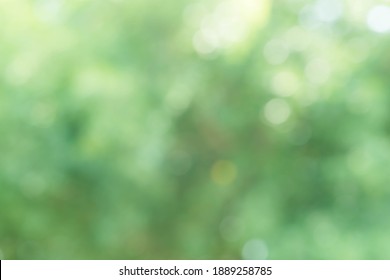 グリーンバック の画像 写真素材 ベクター画像 Shutterstock