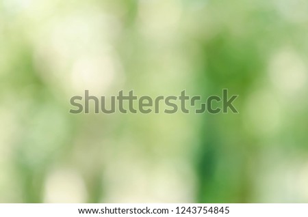 nature green bokeh sun light flare and blur leaf abstract texture background