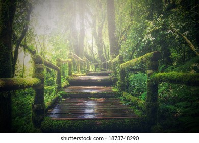 Archway Enchanted Fairy Forest Landscape Misty Stock Photo 1521502064 ...