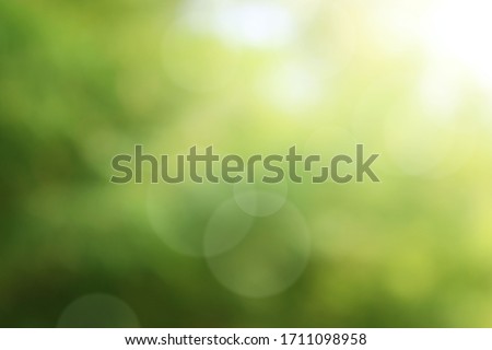 Nature Green leafy abstract bokeh light blur