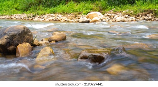 Nature Green Tree Background With River In Forest Lanscape