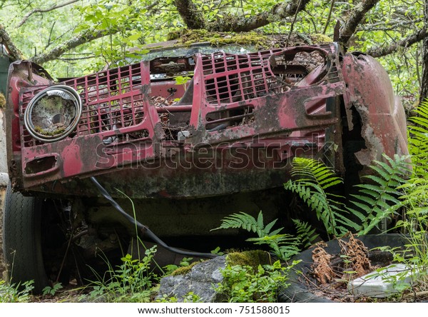 Nature grows over the car\
wreck