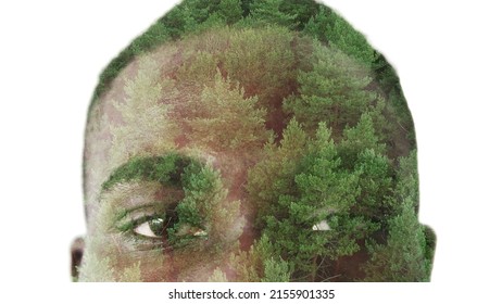 Nature Harmony. Eco Mindfulness. Environmental Protection. Double Exposure Closeup Silhouette Of Man Eyes Looking Through Green Forest Trees Isolated On White.