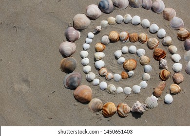 Nature Harmony  Inspiration Land Art Seashells