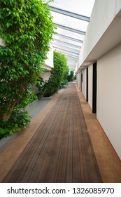 nature inside the building, corridor and foliage