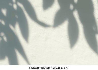 Nature Inspired Shadow Pattern Background