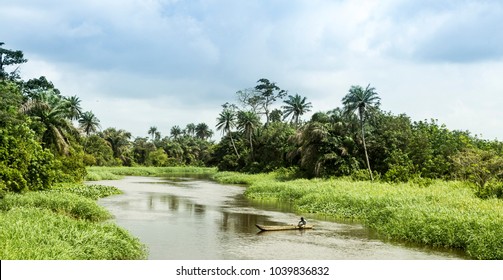 nature in Ivory Coast - Shutterstock ID 1039836832