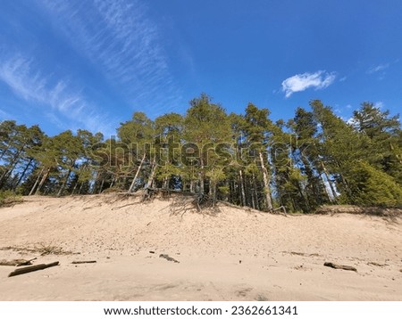 Similar – Image, Stock Photo wild Baltic coast in Poland