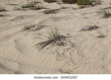 Nature Land Escape  Background Texture  