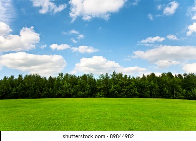 Landscape Grass Field Green Environment Public Stock Photo 273643241 ...