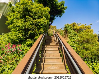 Nature Landscape Around Russian Hill Vallejo Street Crest Historic District At San Francisco, California