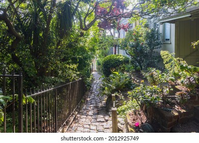 Nature Landscape Around Russian Hill Vallejo Street Crest Historic District At San Francisco, California