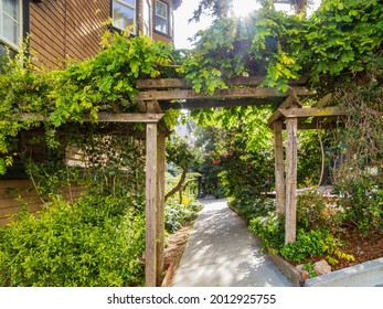 Nature Landscape Around Russian Hill Vallejo Street Crest Historic District At San Francisco, California