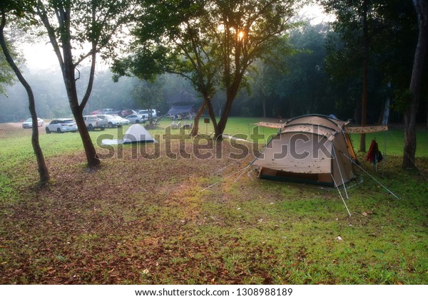 nature landscape camping tent with tree on green\
grass meadow and fog in jungle for trekking picnic on holiday relax\
and vacation travel on autumn winter or summer with warm sunlight\
at Ban Krang Camp