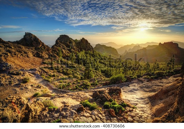 vokal Gennemvæd Derved Nature Landscape Canary Islands Mountains Gran Stock Photo (Edit Now)  408730606