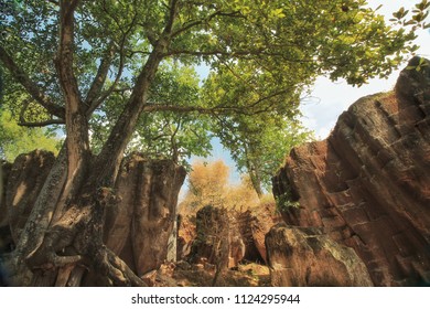 Nature Landscape Of Holy Cave (goa Suci) Tuban East Java Indonesia