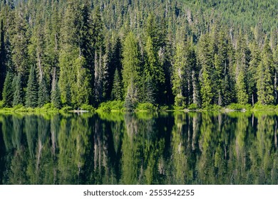 Nature landscape. Lake in scenic nature. Scenic nature of popular hiking lake. Evergreen forest. Wilderness and adventure at forest. Lake with green landscape. Landscape of idyllic forest at lake - Powered by Shutterstock