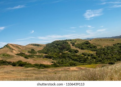 Nature Landscape In Richmond, CA