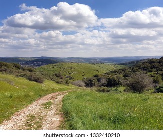 Nature Landscape Of Sokho Hill In Elah Valley, Israel