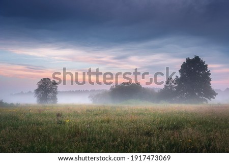 Nature landscape of spring meadow in the mist at dawn. Colorful sky over calm field and trees. Wild nature. Amazing view on a fresh grassy meadow in the early morning.