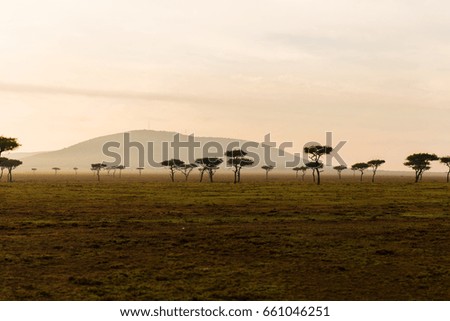 Similar – Image, Stock Photo An evening landscape of Malmo