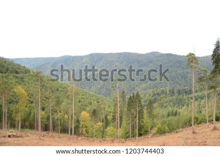 Nature landslide reflection Stok fotoğraf © 