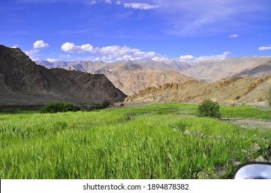 Nature Lanscape Of Ladakh, India 