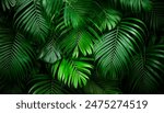 Nature leaves, green tropical forest, backgound concept