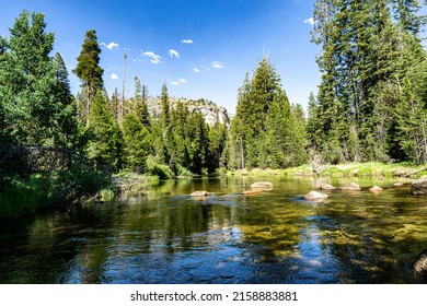 Nature in Little Yosemite Valley