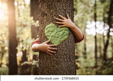 Nature Lover, Close Up Of Child Hands Hugging Tree With Copy Space