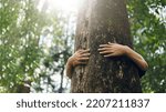 Nature lovers embrace big trees. green forest in the rainy season Concept of conservation of nature, protecting the environment. Protection from deforestation or climate change