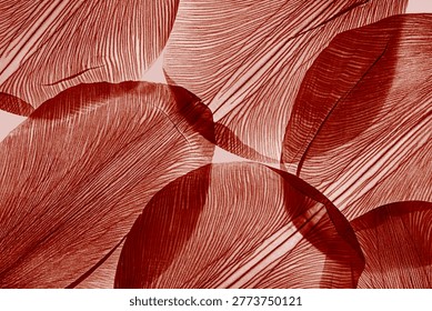 Nature macro pattern of dry dark red colored petals, translucent floral leaves with natural texture as abstract banner background. Monochrome colored skeleton flower petal, aesthetic beauty of nature