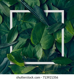 Nature Minimal Concept - Green Leaves Background with White Paper Frame. Flat Lay