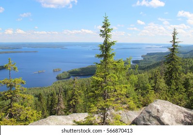 Nature Of National Pak Koli, Joensuu, Finland