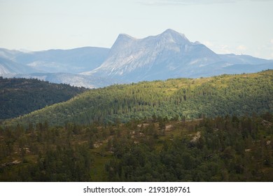 Nature of Norway, wooded landscape with high mountains in the background and green hills in the foreground.