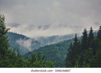 nature panorama green forest mountain fog cloud travel tourism environment - Shutterstock ID 1046146867