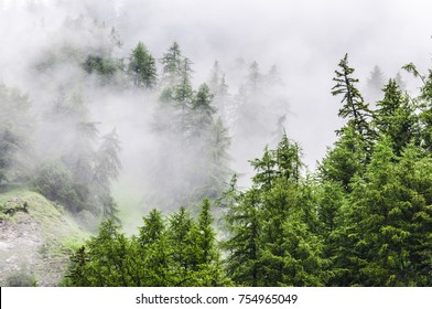 nature panorama green forest mountain fog cloud travel tourism environment - Shutterstock ID 754965049