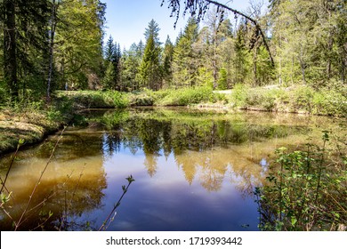 Brühlweier In The Schönbuch Nature Park