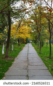 Nature Park. Path Summer Autumn