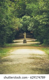 Nature path surrounded by trees in the autumn forest
