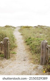 Nature Path, Trail, Way To The Shore At Venice Beach, Florida United States