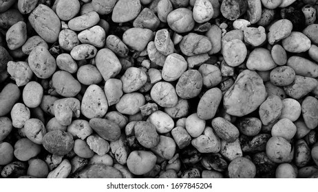 Nature Pebble Stone Background. Grit Stone Outdoor Garden