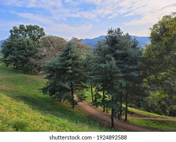 Nature Photo Of Hill, Forest, Tress And Sky