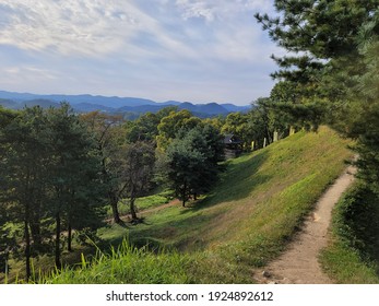 Nature Photo Of Hill, Forest, Tress And Sky