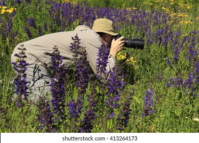 Nature Photographer